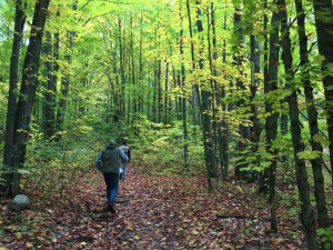 petoskey1
