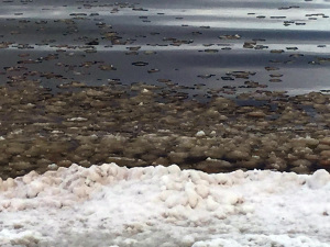 ice