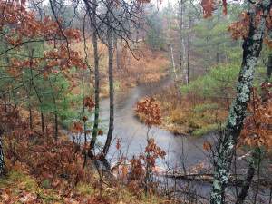 rainhike4