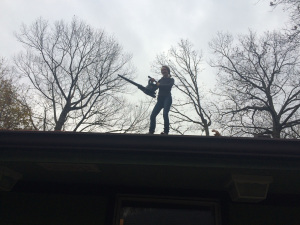 roof