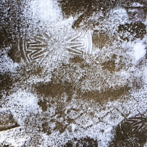 snowtracks