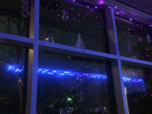 bluepurple