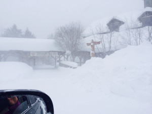 brr1