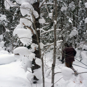 snowshoeing