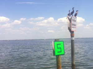 boat6