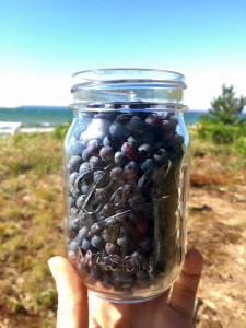 blueberries