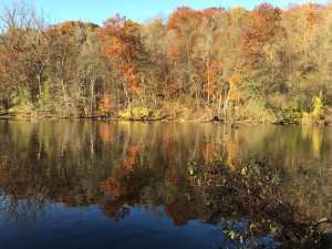 huron