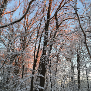 morning3