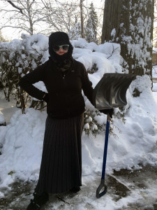 shovel1