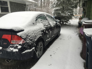 snowday3