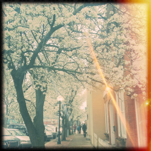 2012spring1