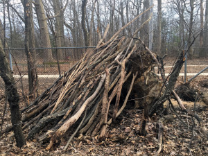 fort
