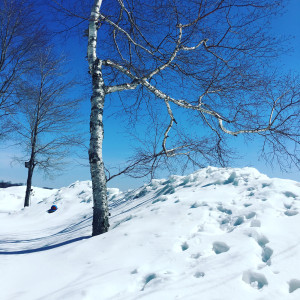 hlsnow